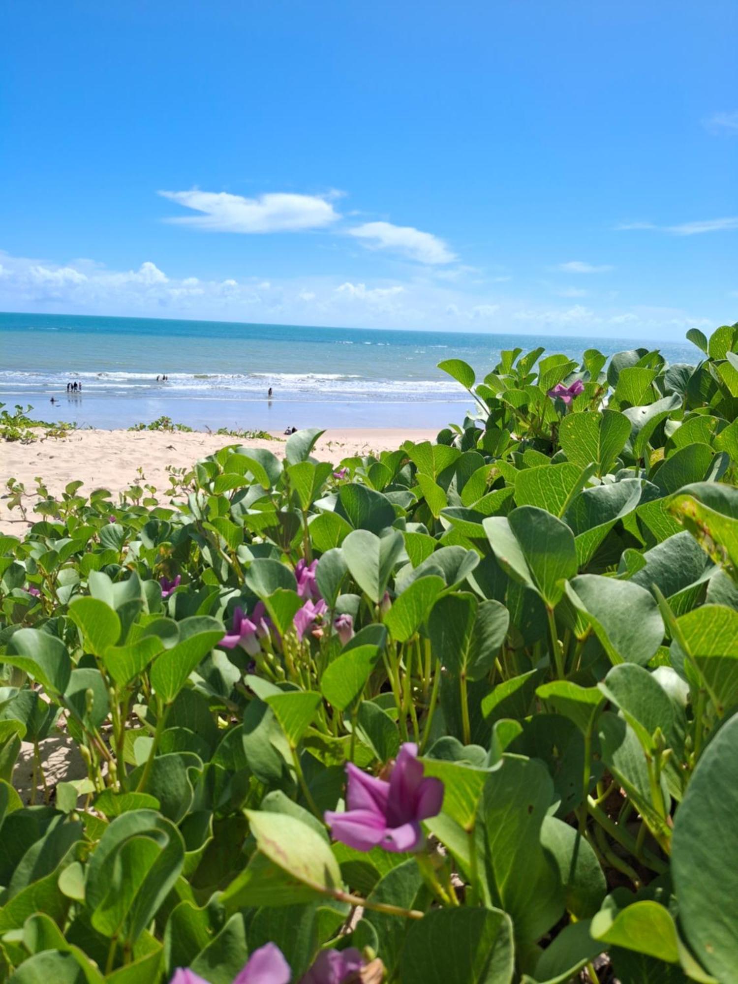 Manga Rosa Hospedagem Canoa Quebrada Exterior foto